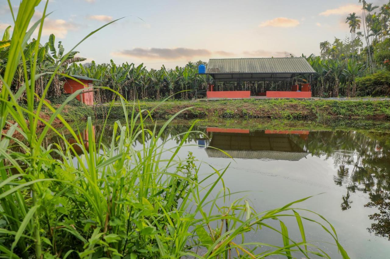 Kudajadri Drizzle Homestay Kaniyāmbetta Exterior foto