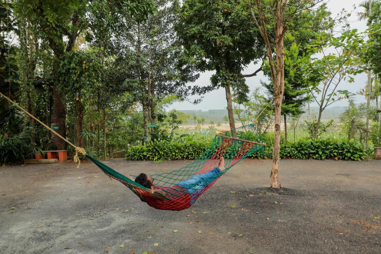 Kudajadri Drizzle Homestay Kaniyāmbetta Exterior foto