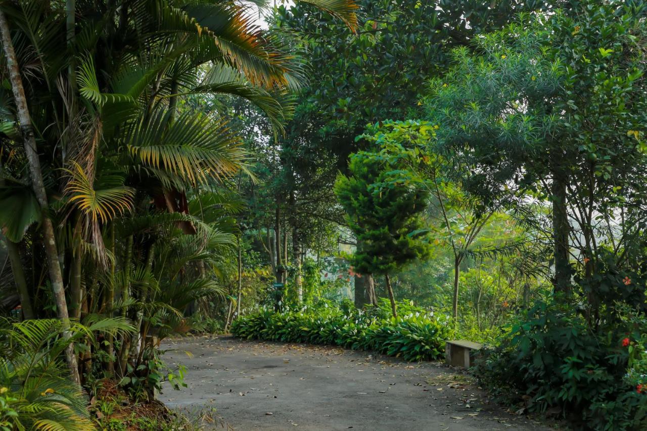 Kudajadri Drizzle Homestay Kaniyāmbetta Exterior foto