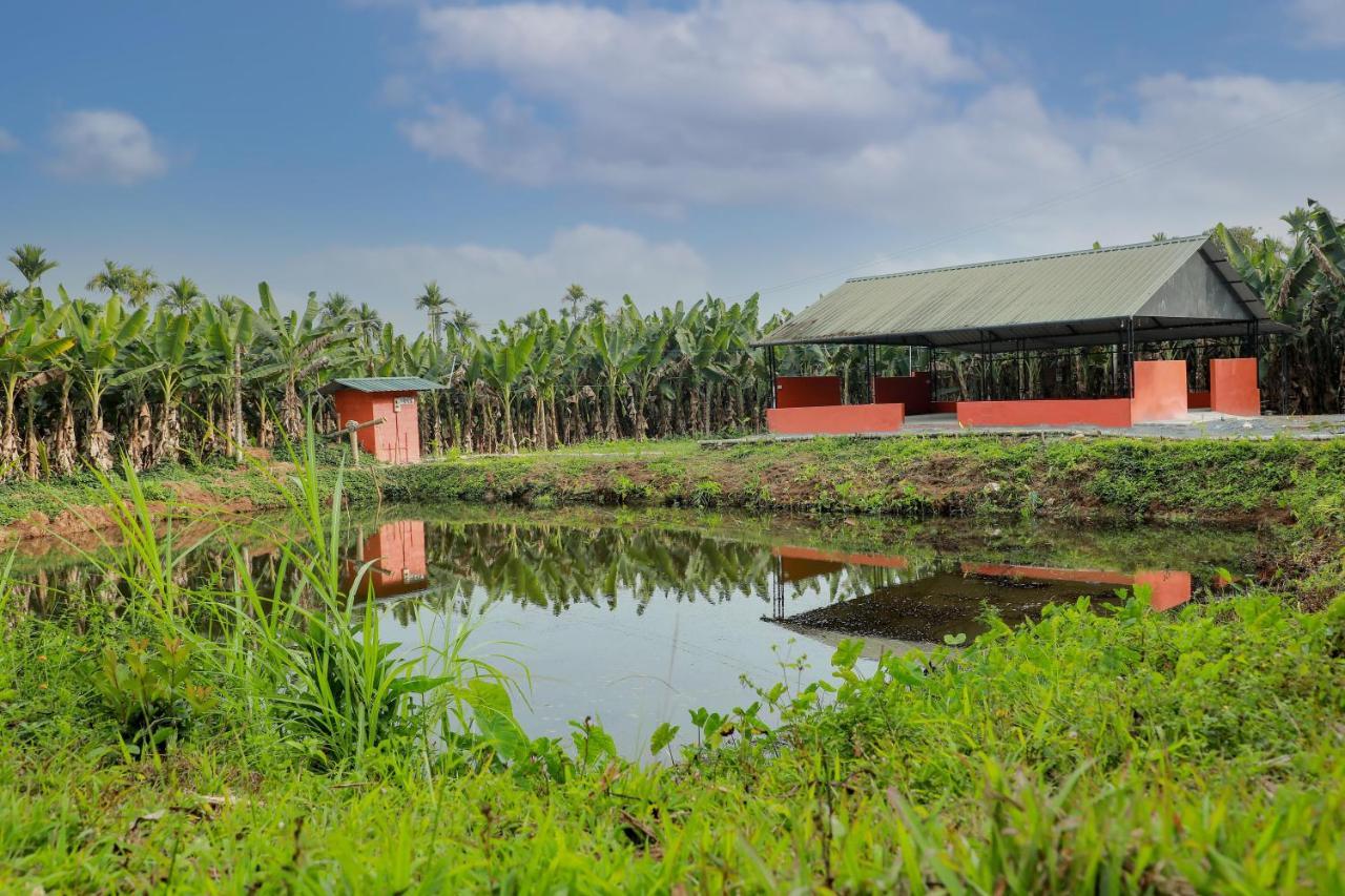 Kudajadri Drizzle Homestay Kaniyāmbetta Exterior foto