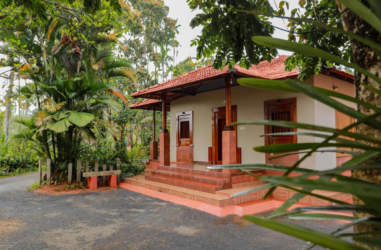 Kudajadri Drizzle Homestay Kaniyāmbetta Exterior foto