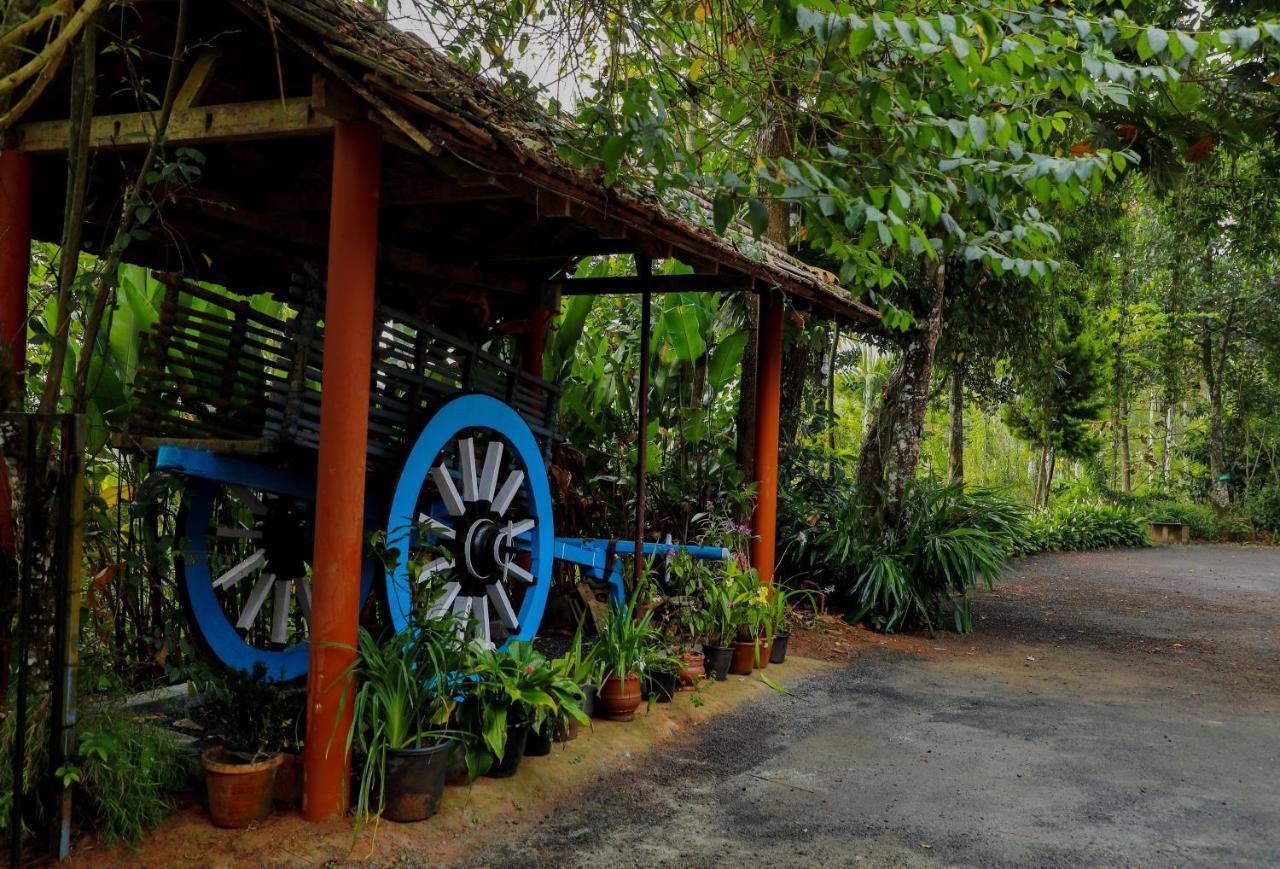 Kudajadri Drizzle Homestay Kaniyāmbetta Exterior foto